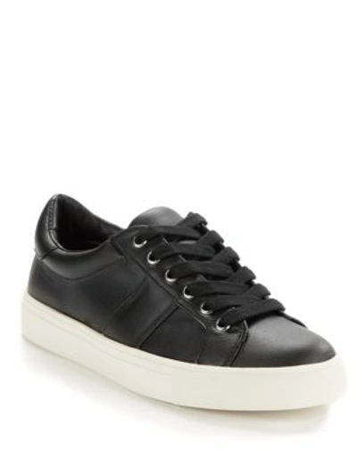 Steve Madden Seddie Lace-up Trainers In Black Multi