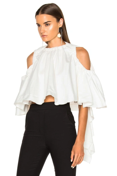 Shop Ellery Baby Top In White