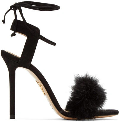 Shop Charlotte Olympia Black Suede Salsa Heels In 001 Black