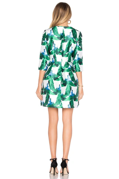 Shop Blaque Label Fit & Flare Dress In Green