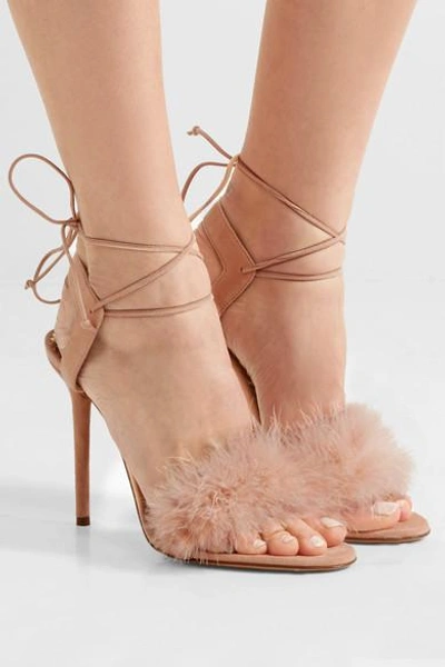 Shop Charlotte Olympia Salsa Feather-trimmed Suede Sandals In Blush