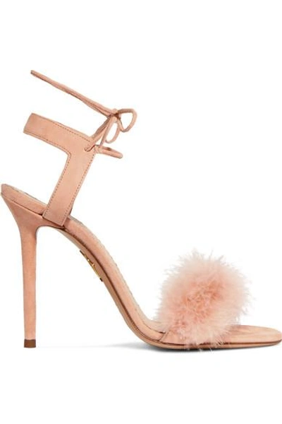 Shop Charlotte Olympia Salsa Feather-trimmed Suede Sandals In Blush