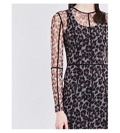 Shop Christopher Kane Leopard-print Tulle Dress