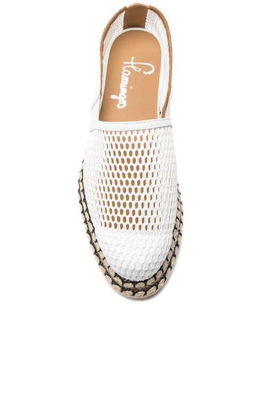 Shop Flamingos Mesh Limbo Espadrilles In White Mesh