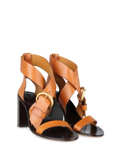Shop Chloé Nils Vegetal-leather Sandals In Marrone Cuoio