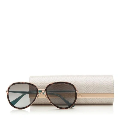 Shop Jimmy Choo Tora Havana And Green Aviator Sunglasses In Eye Grey Shaded