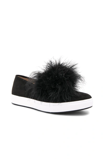 Steve madden emily best sale