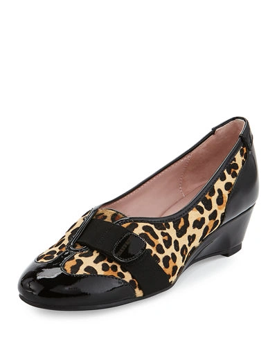Taryn Rose Platz Leopard-print Calf Hair Demi-wedge Flat In Black