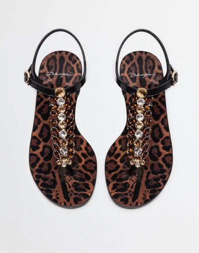 Shop Dolce & Gabbana Sandals In Printed Rubber In Black
