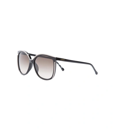Shop Loewe Brown 'vedra' Sunglasses