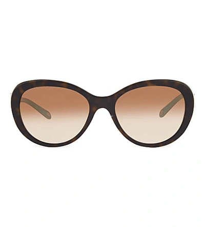 Tiffany & Co Tf4113 Havana Oval Sunglasses
