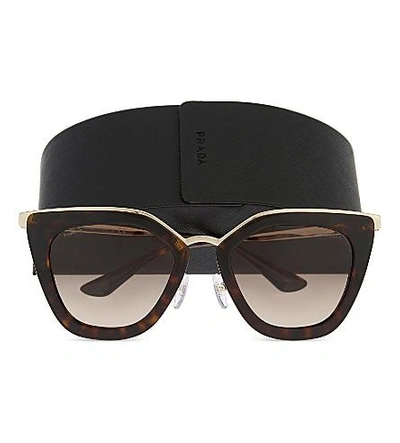 Shop Prada Pr53ss Havana Cat Eye-frame Sunglasses