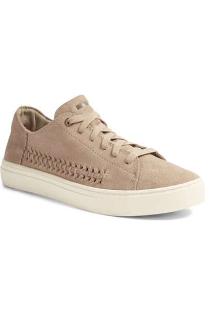 Toms Lenox Sneaker In Natural Suede