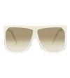 LOEWE Slw943 Filipa D-Frame Sunglasses