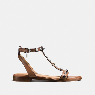 Shop Coach Sadie Sandal In Saddle