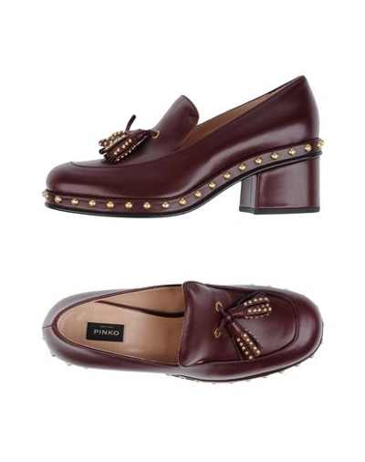 Pinko Loafers In Maroon