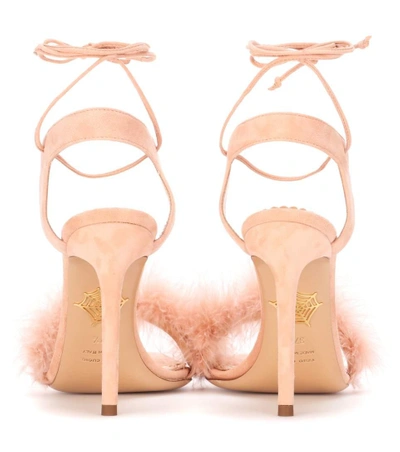 Shop Charlotte Olympia Salsa 110 Feather-trimmed Suede Sandals In Pink