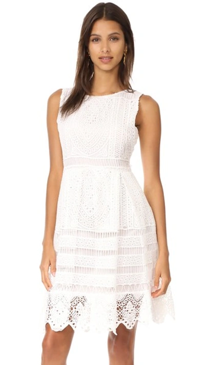 Cupcakes And Cashmere Summers Lace Fit And Flare Dress In Ivory