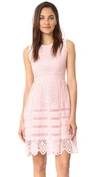 CUPCAKES AND CASHMERE SUMMERS LACE FIT AND FLARE DRESS