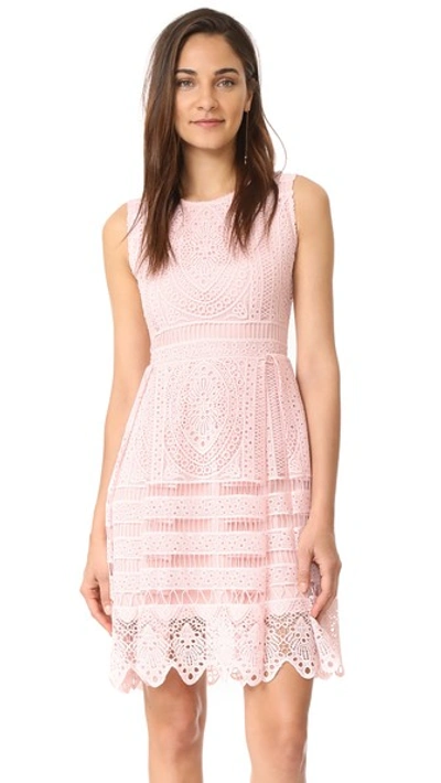 Cupcakes And Cashmere Summers Lace Fit And Flare Dress In Soft Pink