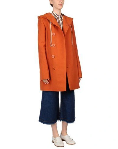 Shop Rick Owens Coats In Rust