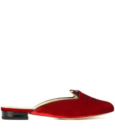 Shop Charlotte Olympia Kitty Velvet Slippers In Red