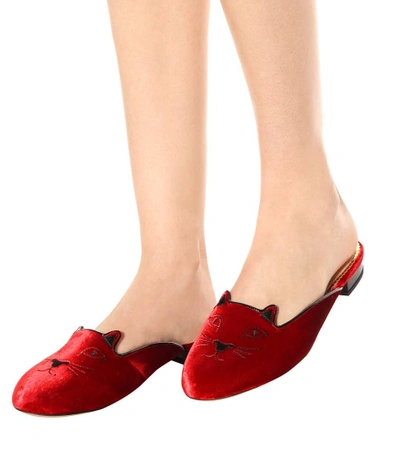 Shop Charlotte Olympia Kitty Velvet Slippers In Red