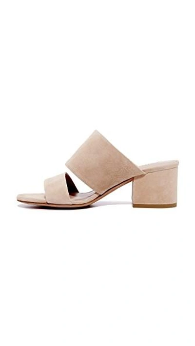 Shop Vince Charleen Mules In Rose