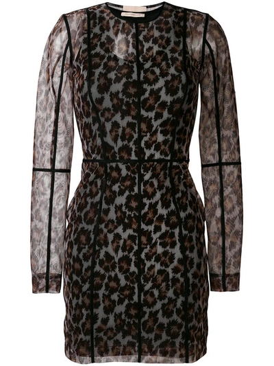 Christopher Kane Leopard-print Stretch-mesh Mini Dress