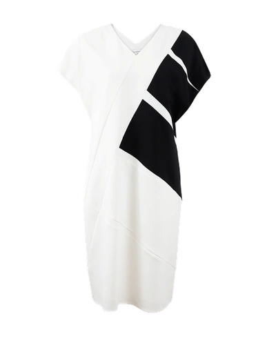 Narciso Rodriguez Colorblock Dress In Wht-blk