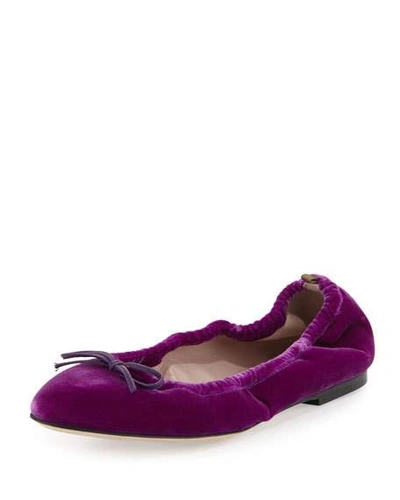 Sjp By Sarah Jessica Parker Gelsey Velvet Ballerina Flat, Fuxia, Purple Velvet