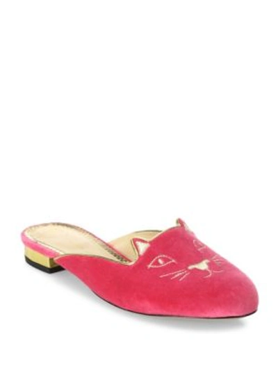 Charlotte Olympia Kitty Embroidered Velvet Mules In Dark Pink