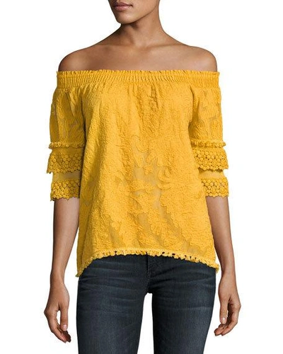 Kobi Halperin Jody Embroidered Lace Off-the-shoulder Blouse, Amber