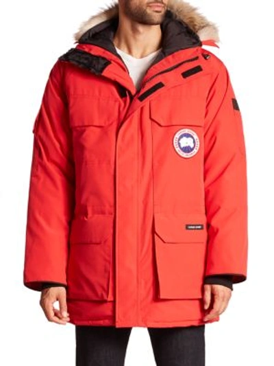 Shop Canada Goose Expedition Coyote Fur-trimmed Jacket In Red