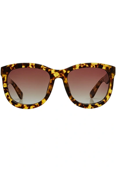 Anine Bing Printed Sunglasses In Brown