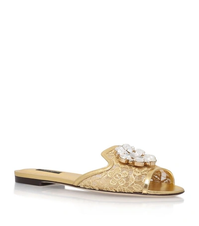 Shop Dolce & Gabbana Bianca Embellished Lace Slides In Gold