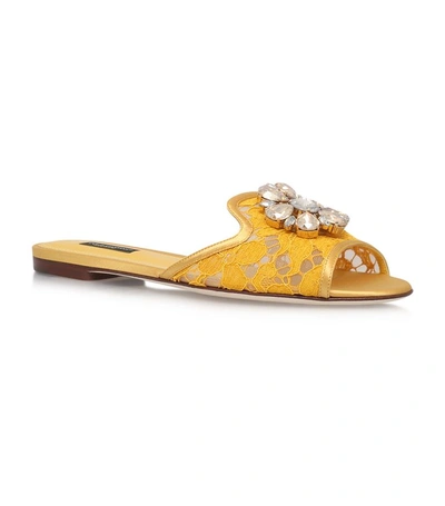 Shop Dolce & Gabbana Sofia Embellished Lace Slides In Yellow