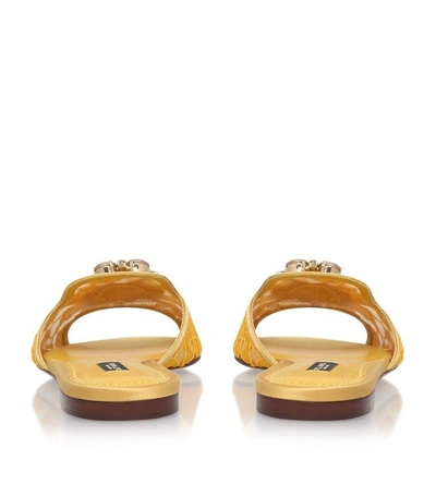 Shop Dolce & Gabbana Sofia Embellished Lace Slides In Yellow