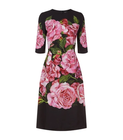 Shop Dolce & Gabbana Rose Print Dress In Pink