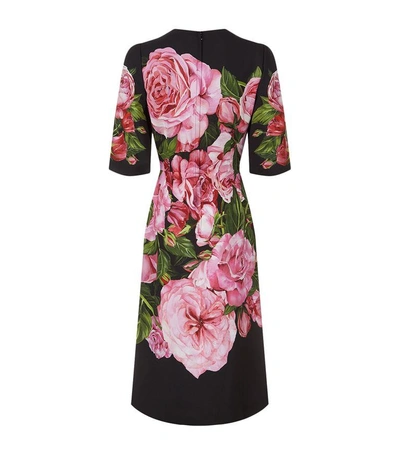 Shop Dolce & Gabbana Rose Print Dress In Pink