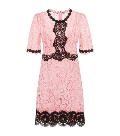 Shop Dolce & Gabbana Embroidered Lace Shift Dress In Multi
