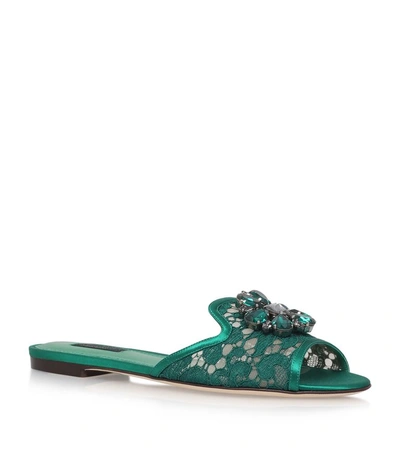 Shop Dolce & Gabbana Sofia Embellished Lace Slides In Green