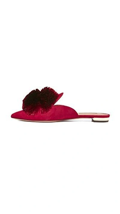 Shop Aquazzura Powder Puff Flats In Spiced Red