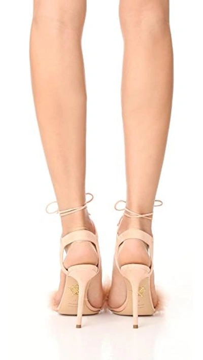 Shop Charlotte Olympia Salsa Heels In Blush