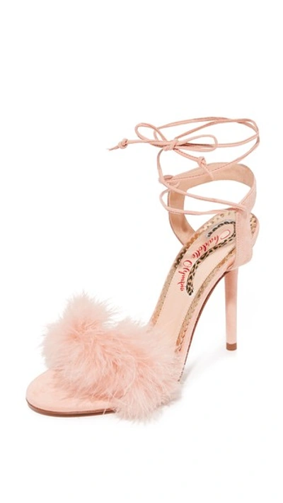 Charlotte Olympia Salsa 110 Feather-trimmed Suede Sandals In Baby Pink