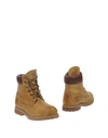 TIMBERLAND ANKLE BOOTS,11249731UL 11