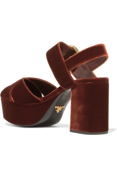 Shop Prada Velvet Platform Sandals In Chocolate