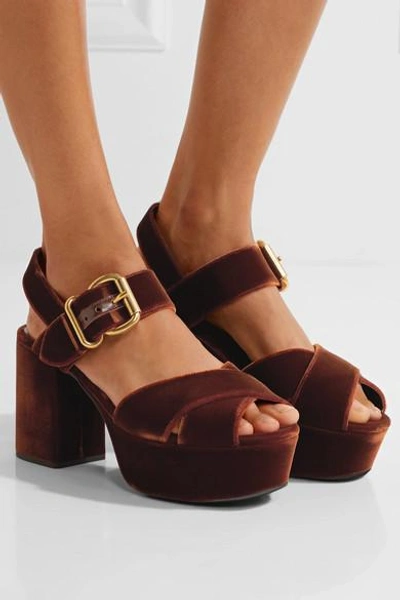 Shop Prada Velvet Platform Sandals In Chocolate