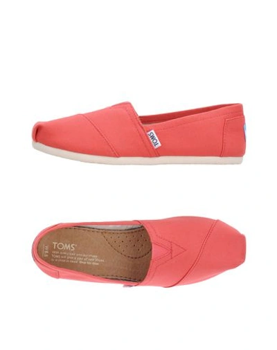 Toms Sneakers In Coral