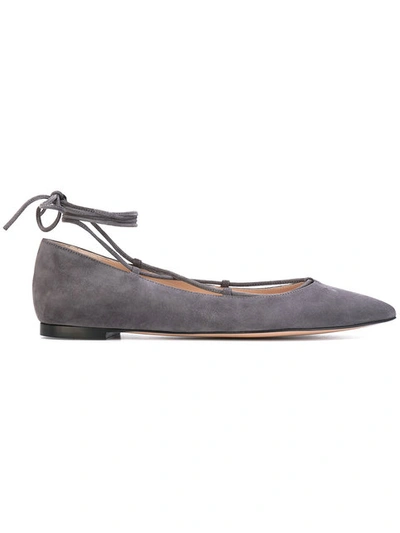 Gianvito Rossi Femi Flat Ballerina Shoes In Grey